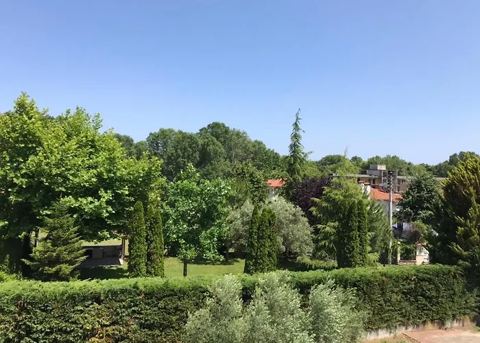 Dimeli 3